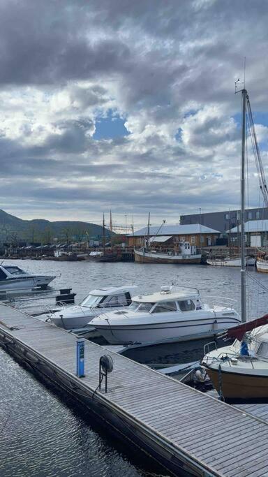 City Center Stylish Loft Trondheim Exterior foto